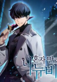 Solo Max-Level Newbie official cover art